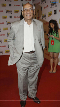 57th Idea Filmfare Awards 2011 Hindi Event photos