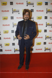 57th Idea Filmfare Awards 2011 Hindi Event photos
