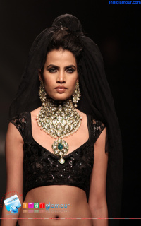 Internationational Jewellery Week Delhi 2013 photos