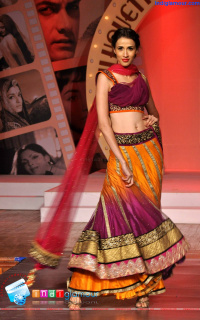 Shillouettes 2013 Bollywood Bytes photos,Shillouettes 2013 Bollywood Bytes stills