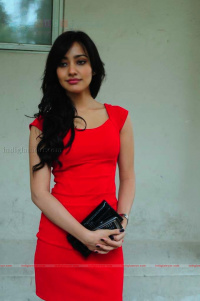 Neha Sharma Hindi Actress photos