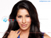 Sophie Chaudhary Hindi Actress photo