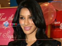 Sophie Chaudhary Hindi Actress photo