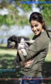 Go Goa Gone photos