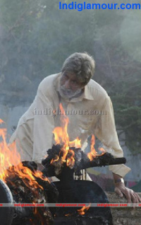 Satyagrama photos