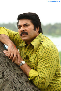 Mammootty Malayalam Actor photo
