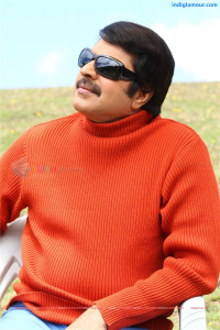 Mammootty Malayalam Actor photo
