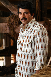 Mammootty Malayalam Actor photo