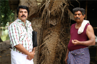 Mammootty Malayalam Actor photo
