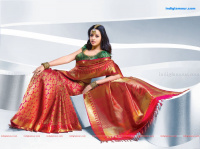 Bhavana Malayalam Actress photo