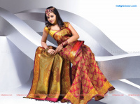 Bhavana Malayalam Actress photo
