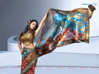 Bhavana Malayalam Actress photo