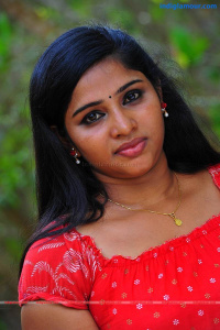 Sreedevi Malayalam Actress photo
