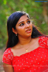 Sreedevi Malayalam Actress photo