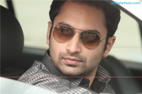 Cocktail Malayalam Movie photos