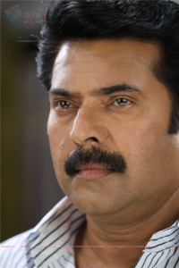 Pramaani photos