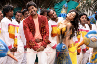 Vijay Tamil Actor photos