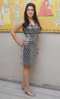 Hansika Motwani Tamil Actress photo