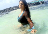 Telugu Actress Namitha photo gallery images