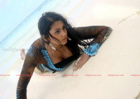 Telugu Actress Namitha photo gallery images