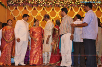 Soundarya Rajnikanth Wedding Reception Tamil Event photos