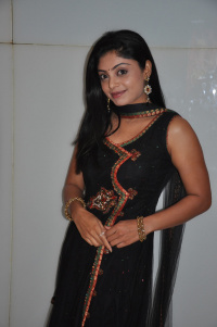 Padam Parthu Kadhai Sol Audio Launch photos