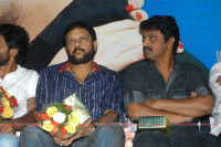 Pani Thuli Pani Thuli Audio Launch Tamil Event photos