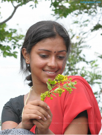 Mynaa photos