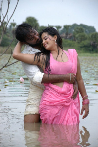 Senkadu photos