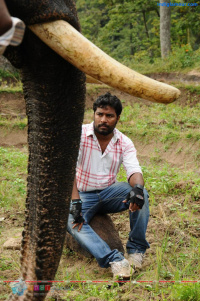 Kumki photos