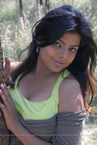 Lollu Dhada Parak Parak photos