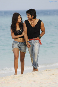 Siruthai Puli photos