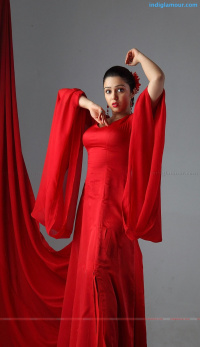 Charmi South Actress photos