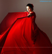 Charmi South Actress photos