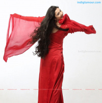 Charmi South Actress photos