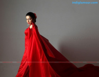 Charmi South Actress photos