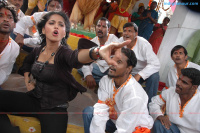 Anushka South Actress photos