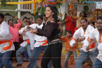 Anushka South Actress photos