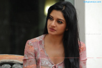 Vimala Raman South Actress photos
