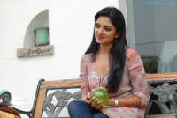 Vimala Raman South Actress photos
