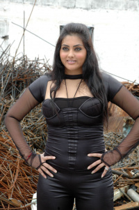 Namitha photos