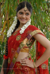 Aiswarya  Telugu  Actress hot photos,Aiswarya  Telugu  Actress sexy stills