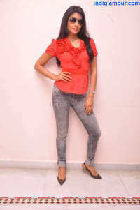 Shriya Saran  Telugu  Actress hot photos,Shriya Saran  Telugu  Actress sexy stills