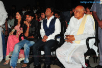 Komaram Puli Audio Release Telugu Event photos