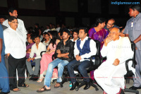 Komaram Puli Audio Release Telugu Event photos