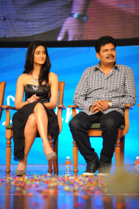 Snehitudu Movie Audio Release Function photos