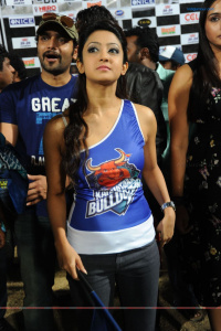 Karnataka Bulldozers Vs Mumbai Heroes Telugu Event photo