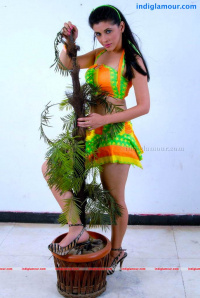 Manasi Telugu Actress photo