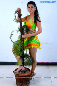 Manasi Telugu Actress photo