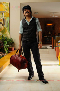 Rummy photos